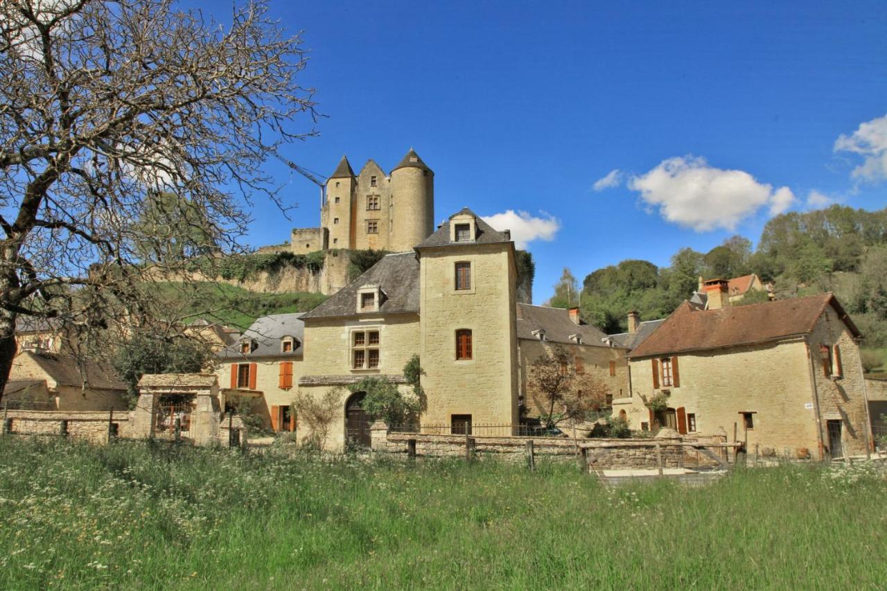 Petite Maison En Pierre Au Coeur Du Perigord Noir Salignac Eyvigues Exteriör bild