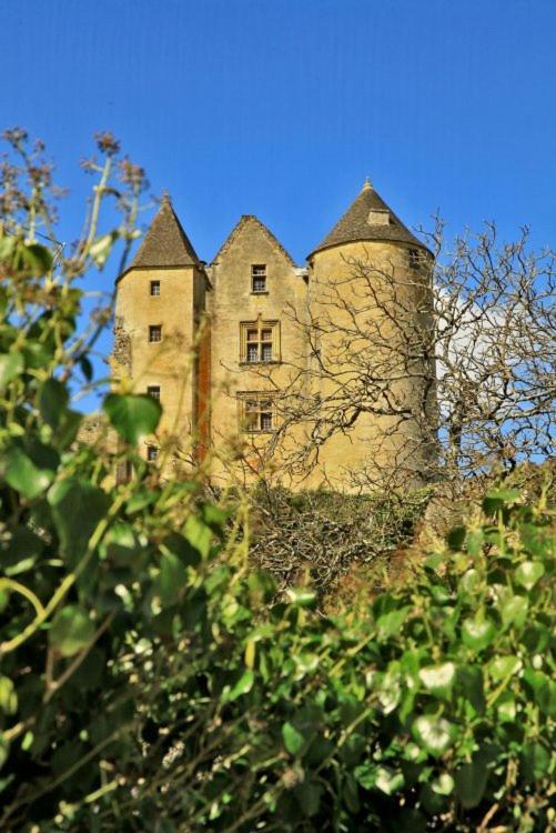 Petite Maison En Pierre Au Coeur Du Perigord Noir Salignac Eyvigues Exteriör bild