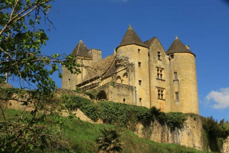Petite Maison En Pierre Au Coeur Du Perigord Noir Salignac Eyvigues Exteriör bild