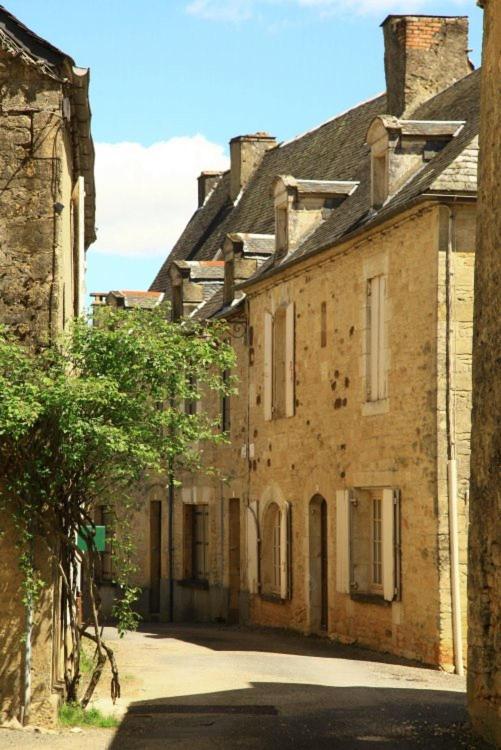 Petite Maison En Pierre Au Coeur Du Perigord Noir Salignac Eyvigues Exteriör bild