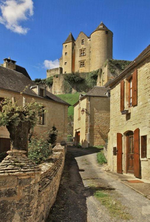 Petite Maison En Pierre Au Coeur Du Perigord Noir Salignac Eyvigues Exteriör bild