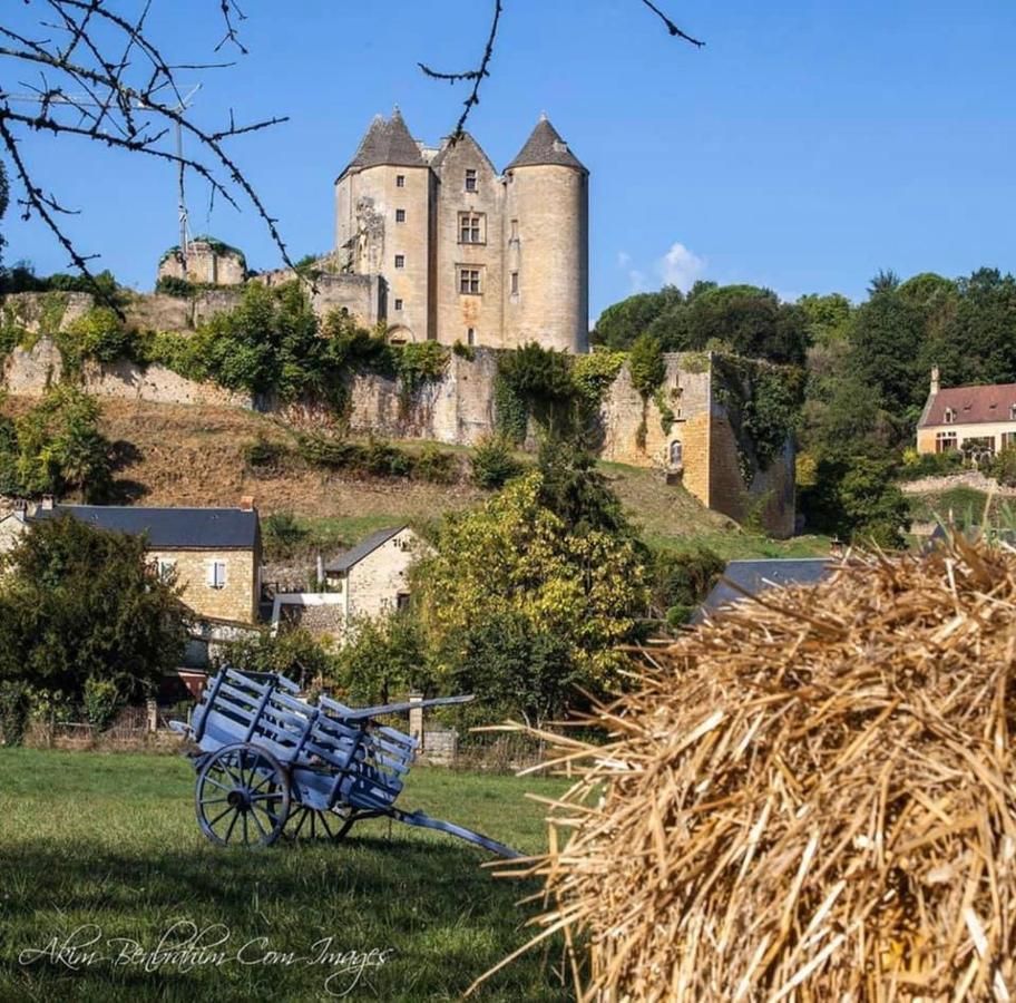 Petite Maison En Pierre Au Coeur Du Perigord Noir Salignac Eyvigues Exteriör bild